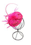 Fuchsie