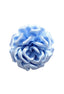 Babyblue